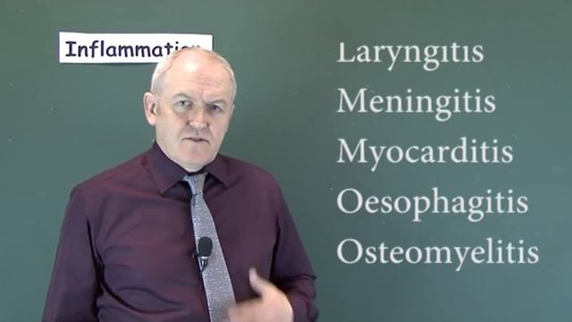 Inflammation 7, Inflammatory Conditions end in 'itis' смотреть онлайн