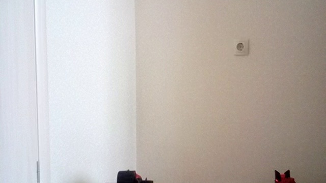 аттракцион бой роботов пауков