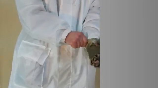 Маскхалат смотреть онлайн