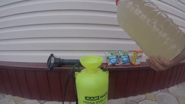 Бургунская смесь в саду-готовим для опрыскивания деревьев