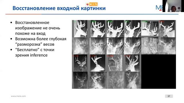 MERA Online Meetup: "Чем олень Вася отличается от оленя Пети с точки зрения ML" смотреть онлайн