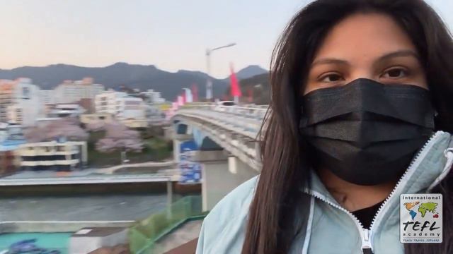 Day In The Life Teaching English In Tongyeong, South Korea With Rosa Salgado