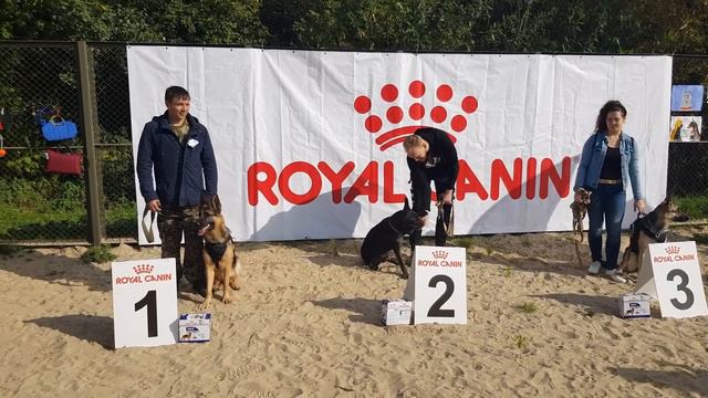 День добермана. Первое место 😉 смотреть онлайн