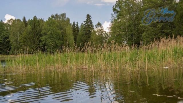 Дунайский биосферный заповедник- "Дунайские плавни" смотреть онлайн