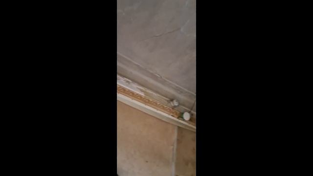 ШОУ ПРИХОД ЦАРЯ 5 - КАК ЖИВУТ ДЕЯТЕЛИ КУЛЬТУРЫ В АРХАНГЕЛЬСКЕ смотреть онлайн