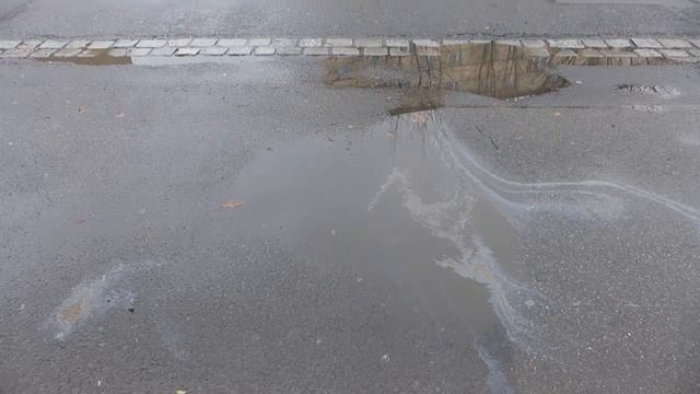 Leica D-Lux 6 sample video смотреть онлайн