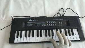 37 Keys Electronic Keyboard ! Pak Toys Reviews