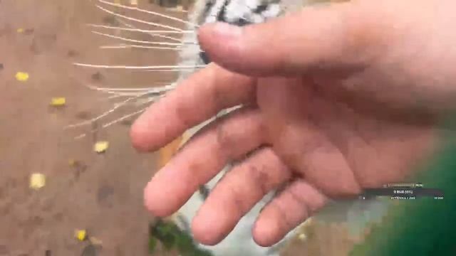 Дождик) смотреть онлайн
