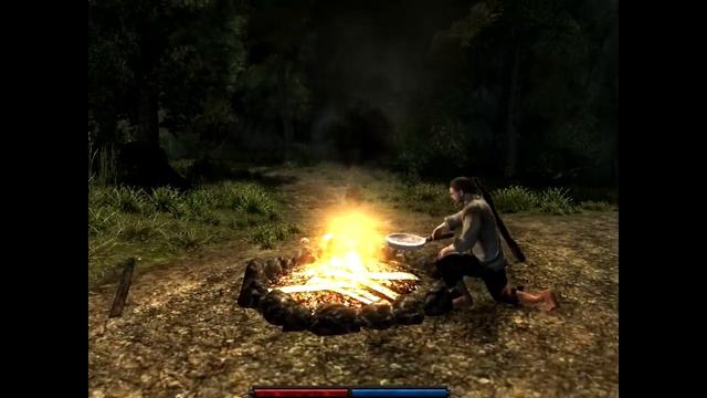 Обзор игры Risen