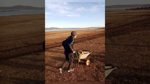 С днем пожилого человека! смотреть онлайн