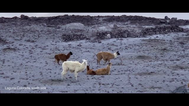 Bolivia travel documentary: Breathtaking Wonderland смотреть онлайн
