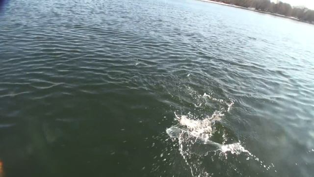 голец на блесну Рыбалка на Камчатке смотреть онлайн