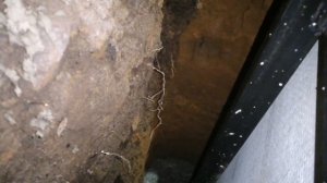 Подвал под домом своими руками с нуля. Часть 4.