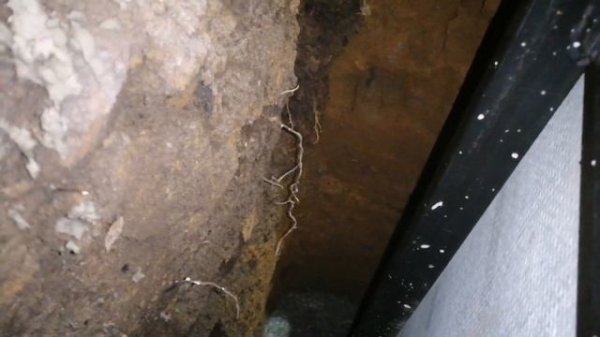 Подвал под домом своими руками с нуля. Часть 4.