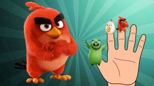 Angry Birds Finger Family Song | finger family nursery rhymes