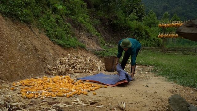 Forest life, Harvest corn, Bamboo shoots, Go to the market to sell смотреть онлайн