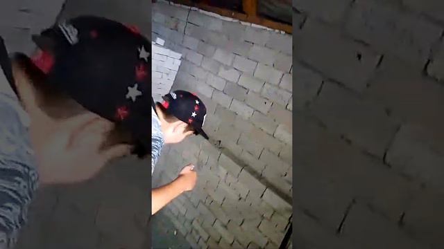 Приезд в Алехинский заповедник смотреть онлайн