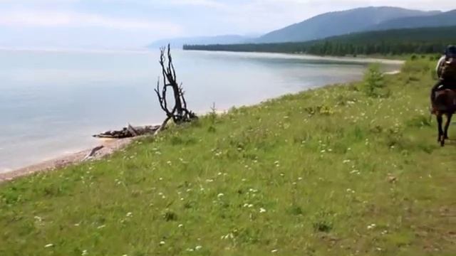 Монголия | путешествие на лошадях | самое чистое озеро Хубсугул | Mongolia , a journey on horsebac смотреть онлайн