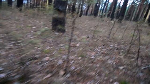 САМВЕЛ И FLORIDAYALTA В ХЕРСОНЕ. ВСТРЕТИЛСЯ С ЮЛЕЙ.НЕНОРМАЛЬНАЯ У ТЕАТРА