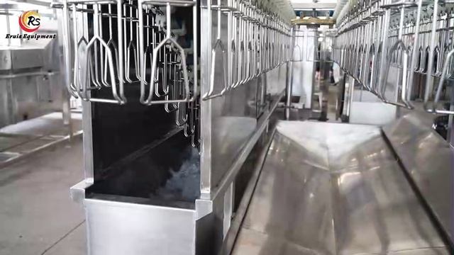 3000 BPH Mobile Compact Automatic Slaughter Line without Installation смотреть онлайн