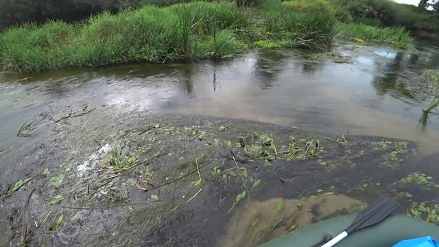 Одиночный сплав по реке Преголя ч.2 смотреть онлайн