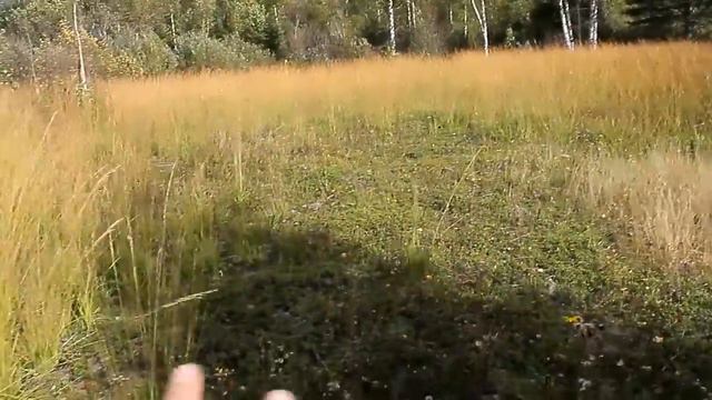 По тропам прошлого. Коп на старинном месте. смотреть онлайн