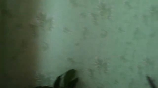Вологда, ул Новгородская, д 37 смотреть онлайн