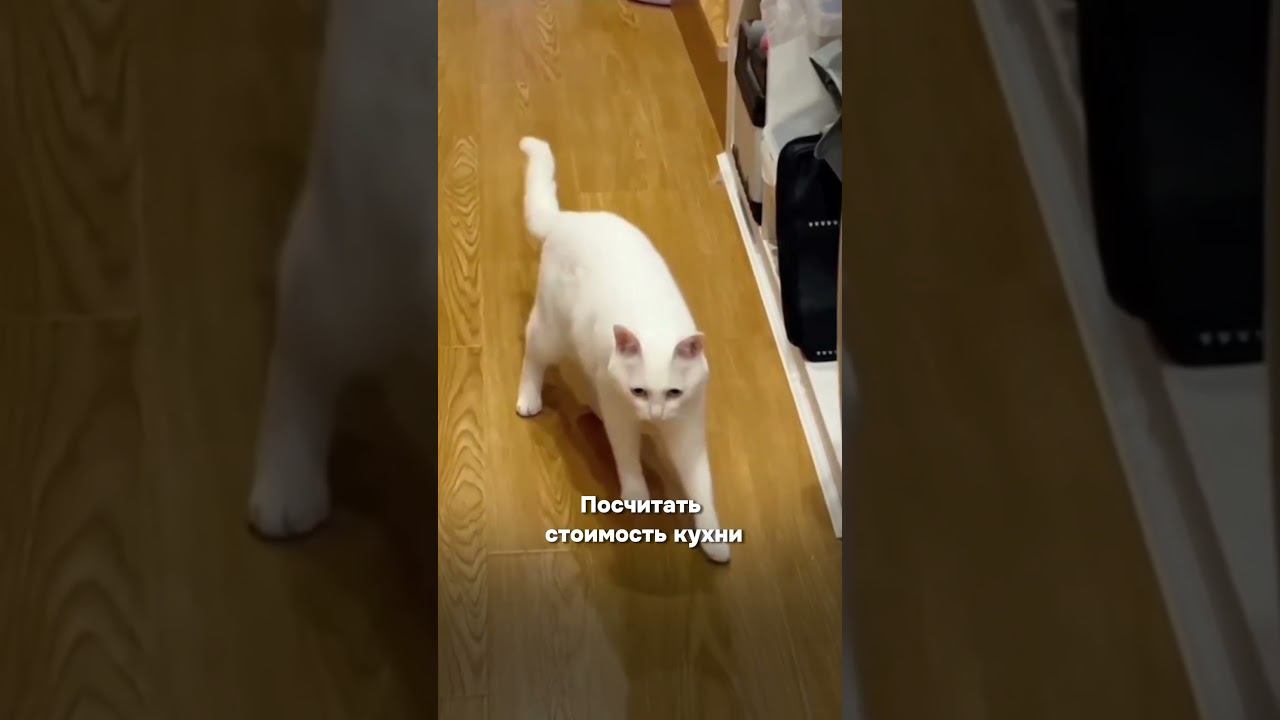 Выбор прост! #shorts #ремонткухни #дизайнкухни смотреть онлайн