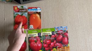 Лучшие сорта помидор.  Урожайный сорт помидор. Лучшие сорта помидор для теплицы и открытого грунта.