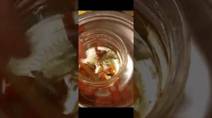 Живица, смола хвойных деревьев растопленная на паровой бане в масле