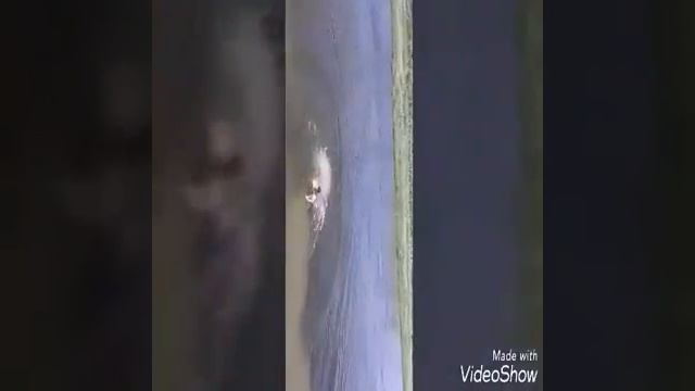 Купались жара сож 2017 смотреть онлайн