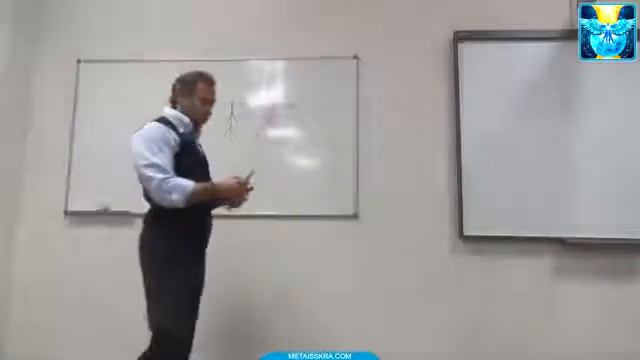 Лярвоведение Откуда берутся и чем питаются бытовые сущности смотреть онлайн