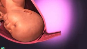 Как происходят роды у женщины /  Беременность внутри / малыш в животе