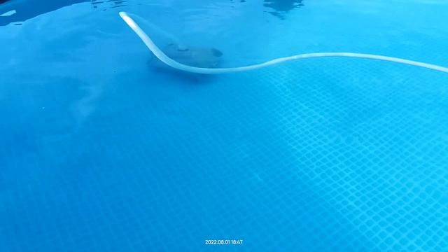 За 3 дня полностью удалось очистить бассейн от зелёной воды!!!