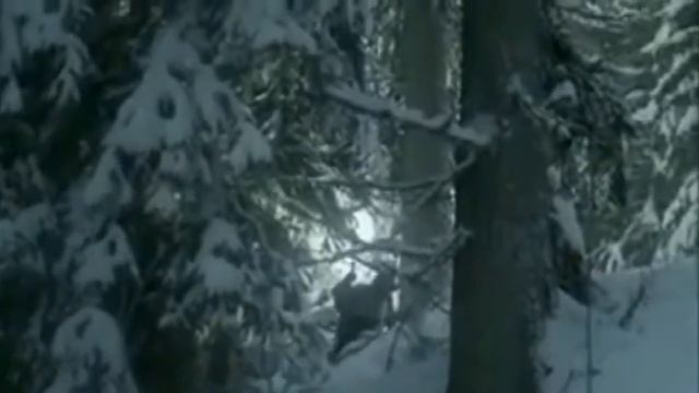 "Суровый вальс" ст Татьяны Лютько, муз и исп. Михаил Солоницин смотреть онлайн