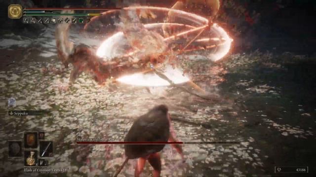 How To Dodge Malenia's Waterfowl Dance? - A Detailed Dodge Guide, Dodge The Undodgeable Super Attac