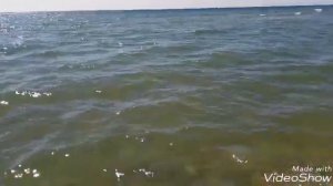 Турция +25 / 23 марта 2019 /  Сиде / погода в марте