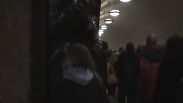 Собака на Площади Революции смотреть онлайн