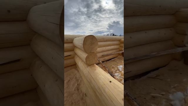 Рубленные дома из бревна. Рубка на производстве в Костромской области. смотреть онлайн