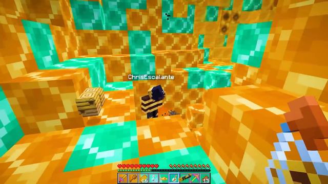 We Found The LOST PINK BEES In Minecraft! смотреть онлайн