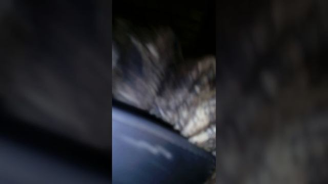 Самодельная автономка жидкостная для подогрева антифриза двс!работает на газу и на соляре! смотреть онлайн