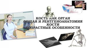 ВИДЕОЛЕКЦИЯ 2. КОСТЬ КАК ОРГАН: классификация и строение, рентгенанатомия, возрастные особенности