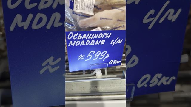 Осьминоги молодые #бложекрежиссера смотреть онлайн