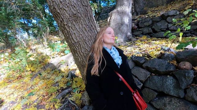 "View me lord a work of thine" Thomas Campion 1567 - 1620 смотреть онлайн