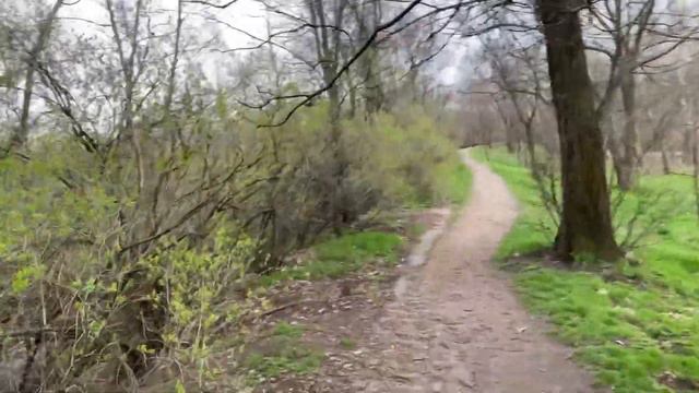 Рыбалка Запорожье/Плотва фидер #рыбалказапорожье смотреть онлайн