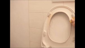 Очистите пожелтевшее сиденье унитаза ? и оно снова станет белым ?