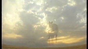 По следам  степных народов. Калмыки.