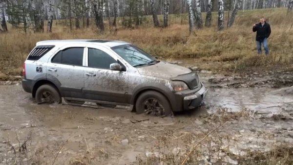subaru forester and sorento
