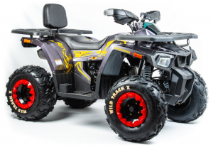 Установка расширители арок, на квадроцикл МОТОЛЕНД WILD TRACK 200 X