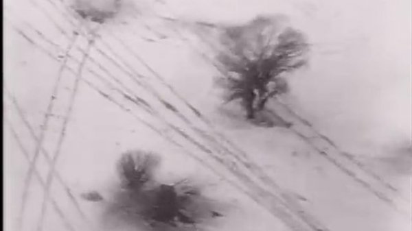 Асы Люфтваффе Fliegerasse der Luftwaffe im Zweiten Weltkrieg